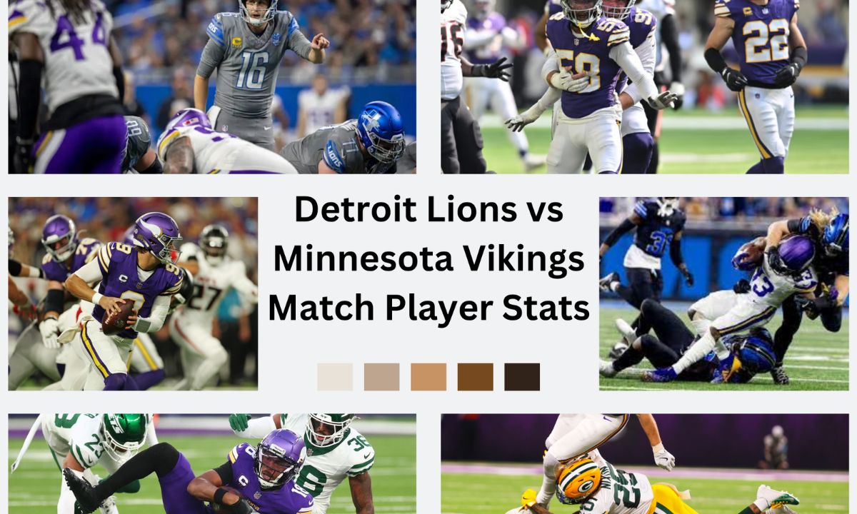 Minnesota Vikings vs Detroit Lions Match Player Stats