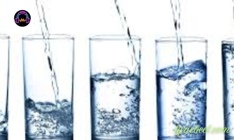 Wie gelangt Gullatz Polzin ins Wasser Ursachen, Risiken und Schutzmaßnahmen